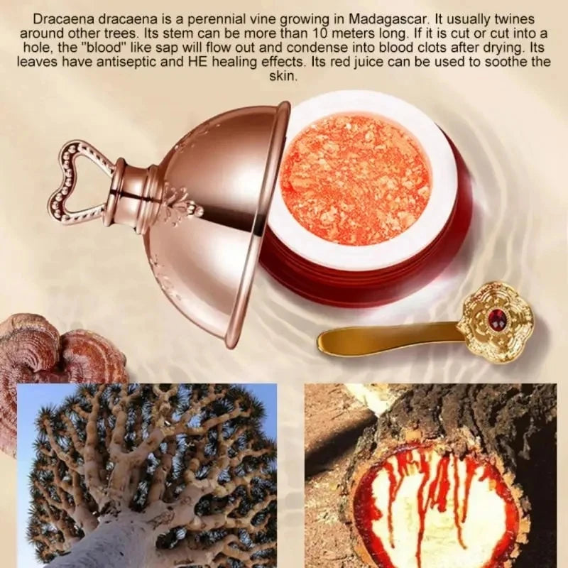 K-Beauty Dragon’s Blood Face Cream