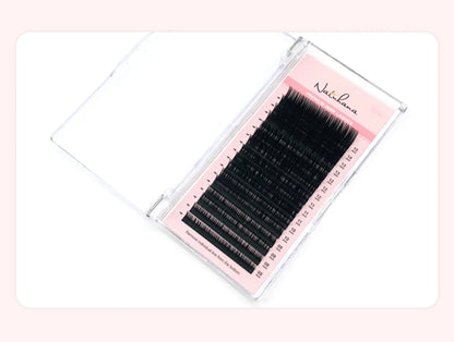 Korean PBT Mink Lash Extensions