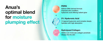 Anua PDRN Hyaluronic Acid Serum